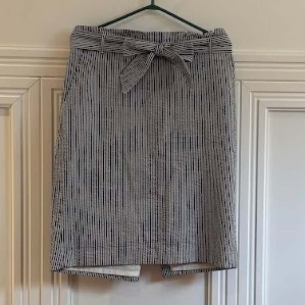Ann Taylor Striped Skirt - Size 10